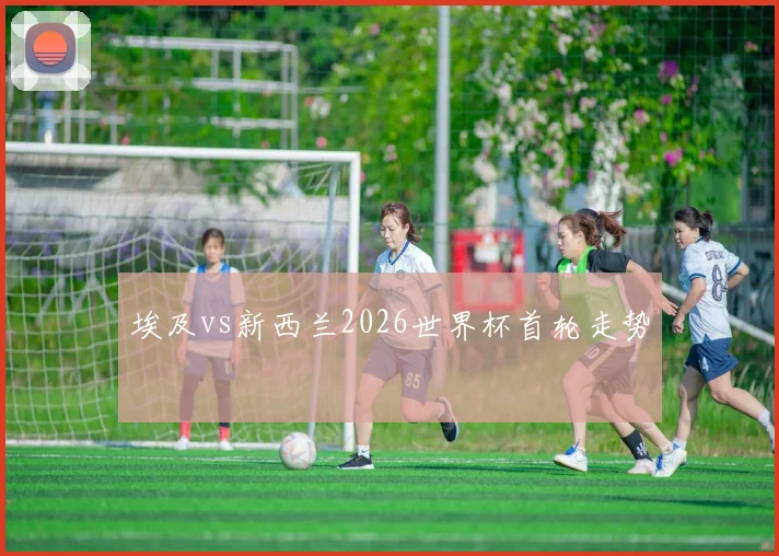 埃及vs新西兰2026世界杯首轮走势