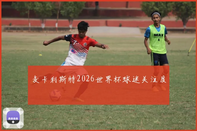麦卡利斯特2026世界杯球迷关注度