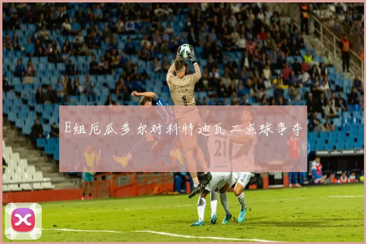 E组厄瓜多尔对科特迪瓦二点球争夺