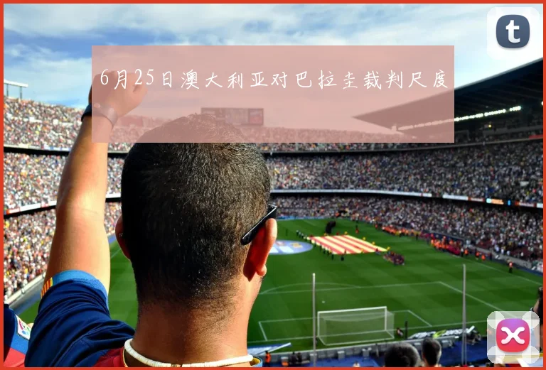6月25日澳大利亚对巴拉圭裁判尺度