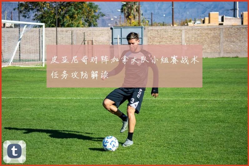 皮亚尼奇对阵加拿大队小组赛战术任务攻防解读