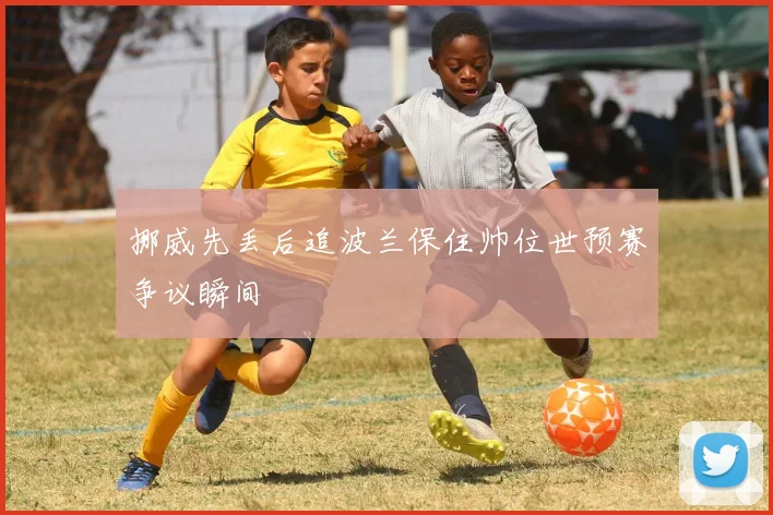 挪威先丢后追波兰保住帅位世预赛争议瞬间
