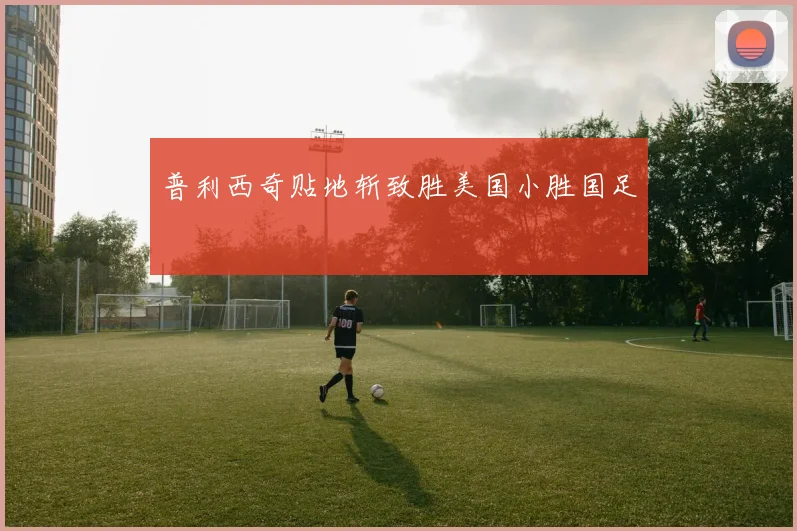 普利西奇贴地斩致胜美国小胜国足