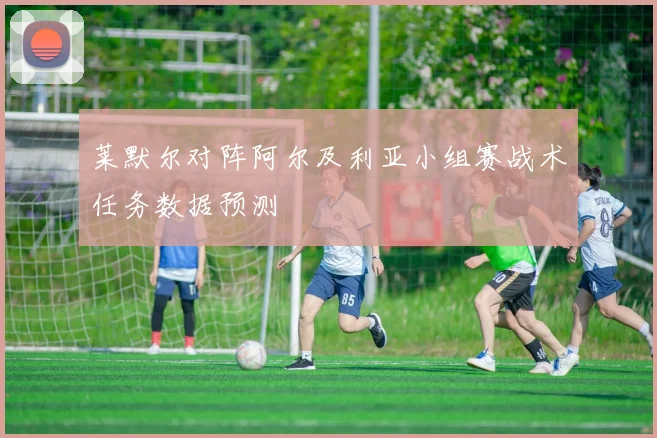 莱默尔对阵阿尔及利亚小组赛战术任务数据预测