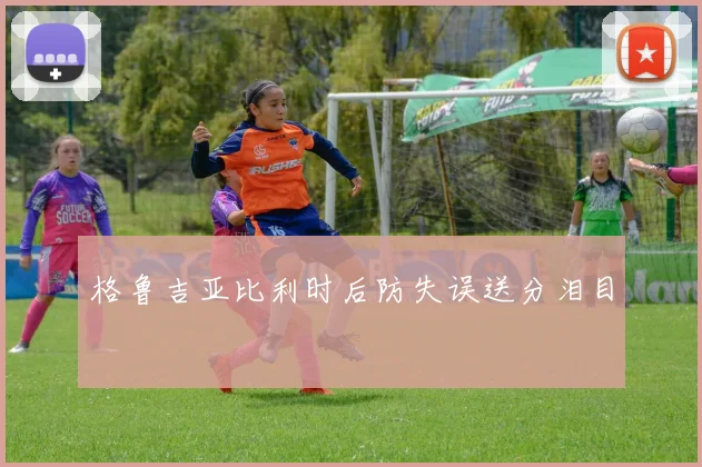 格鲁吉亚比利时后防失误送分泪目