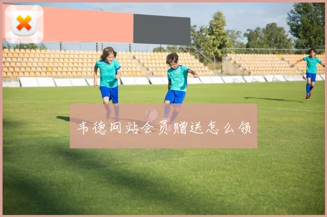 韦德网站会员赠送怎么领