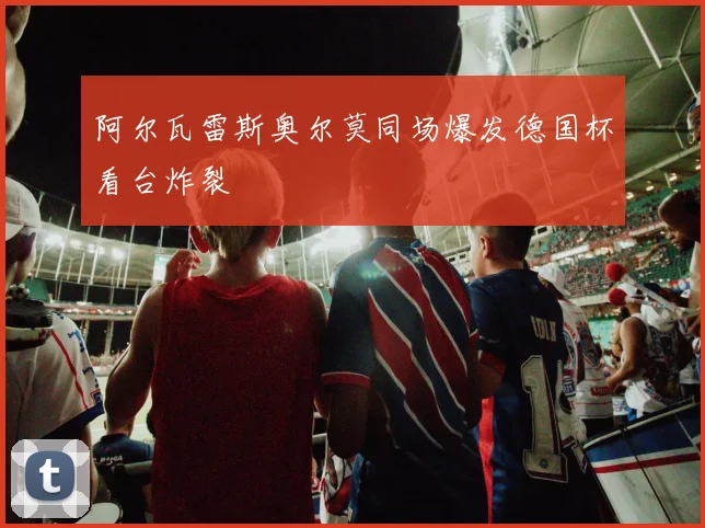 阿尔瓦雷斯奥尔莫同场爆发德国杯看台炸裂
