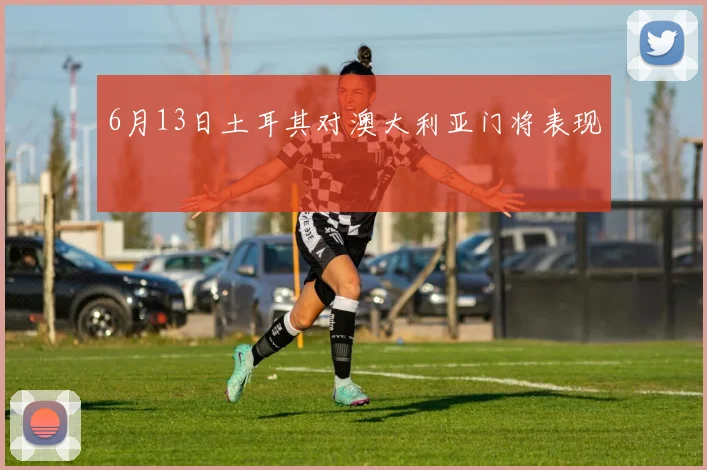 6月13日土耳其对澳大利亚门将表现