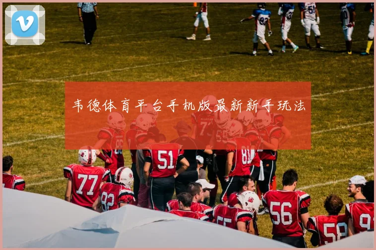 韦德体育平台手机版最新新手玩法