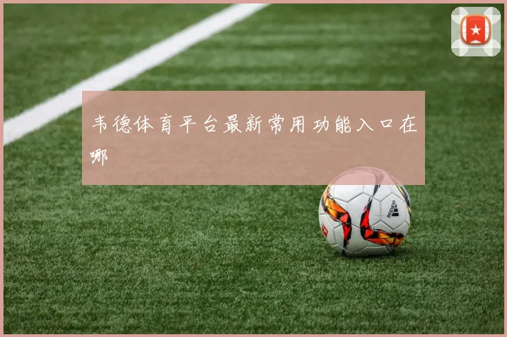 韦德体育平台最新常用功能入口在哪