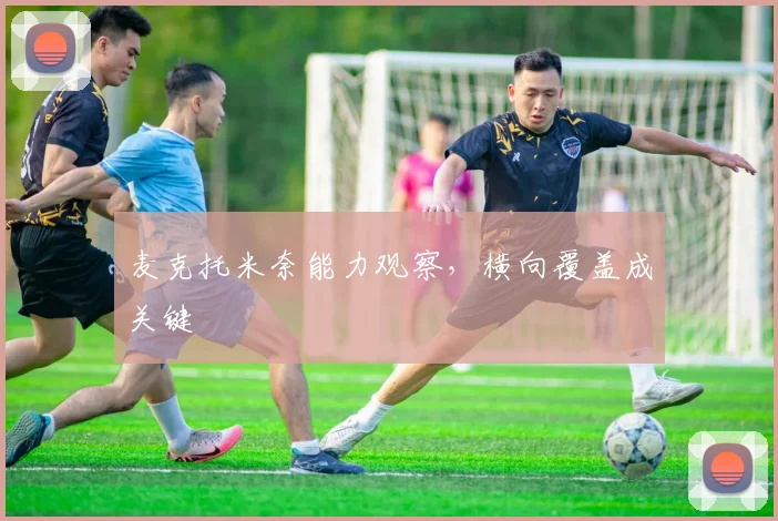 麦克托米奈能力观察，横向覆盖成关键